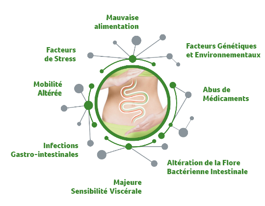 Causes de l’intestin irritable